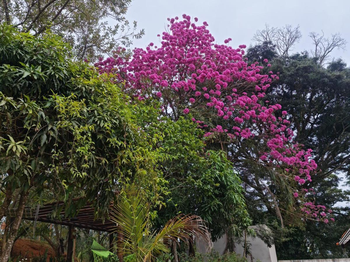 Pousada Descobrindo A Vida برومادينهو المظهر الخارجي الصورة